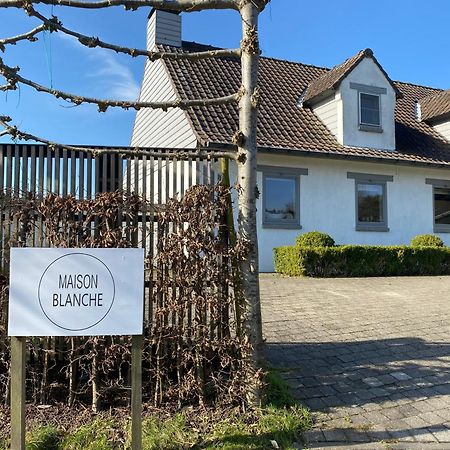 B&B Maison Blanche Ghent Exterior photo