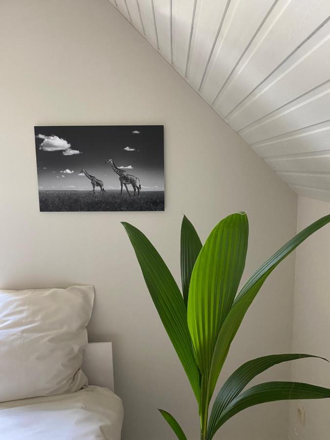 B&B Maison Blanche Ghent Exterior photo